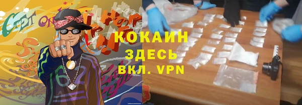 СК Елизово