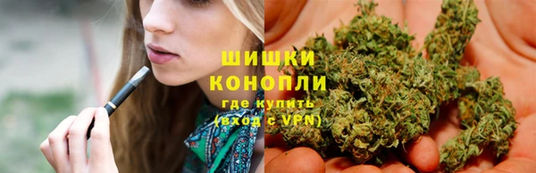 jwh Ельня