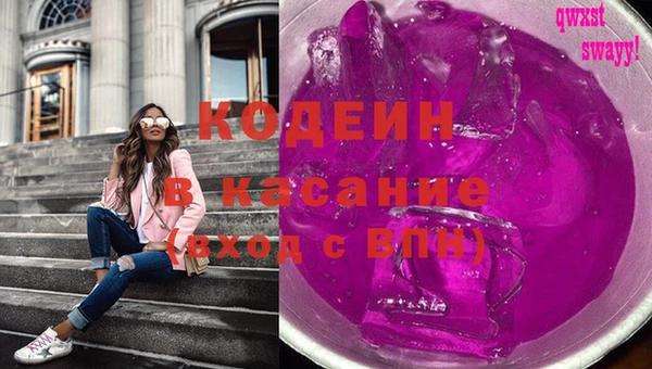 СК Елизово