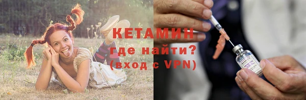 СК Елизово