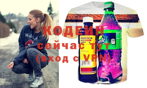 СК Елизово