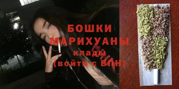 СК Елизово