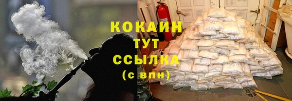 СК Елизово